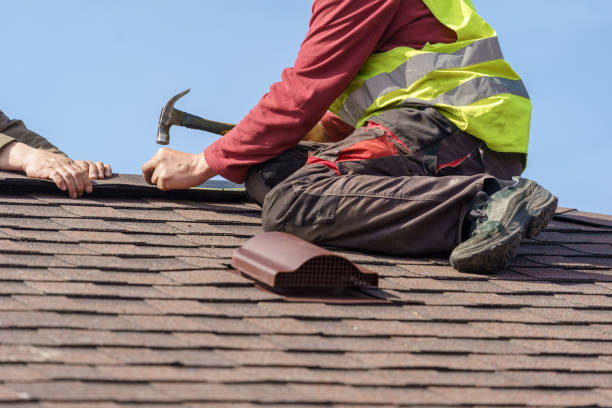 Best Roof Restoration Services  in Portage, MI