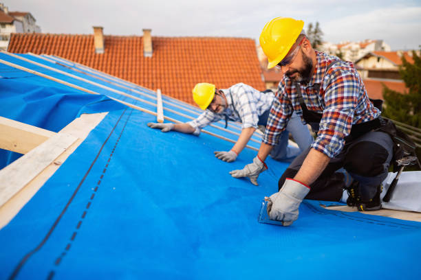 Best Roof Maintenance Services  in Portage, MI