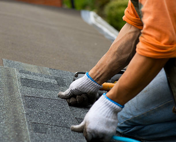 Best Slate Roofing Contractor  in Portage, MI
