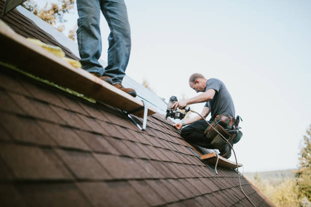Best Flat Roof Repair Services  in Portage, MI