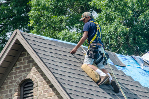 Best Emergency Roof Repair  in Portage, MI